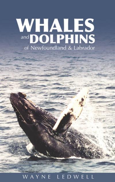 Whales and Dolphins of Newfoundland and Labrador | Detail